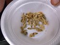 DSCF0917