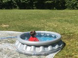 IMG_1030.JPG